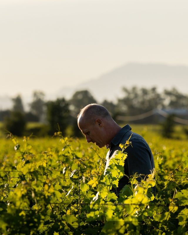 Thomas Rivers Brown in To Kalon Vineyard