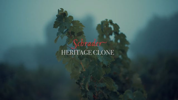 2018 To Kalon Vineyard Heritage Clone